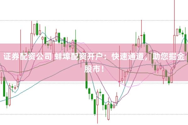 证券配资公司 蚌埠配资开户:快速通道,助您掘金股市!