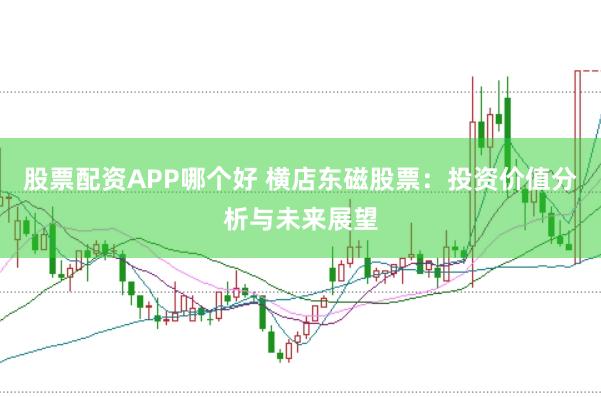 股票配资APP哪个好 横店东磁股票：投资价值分析与未来展望