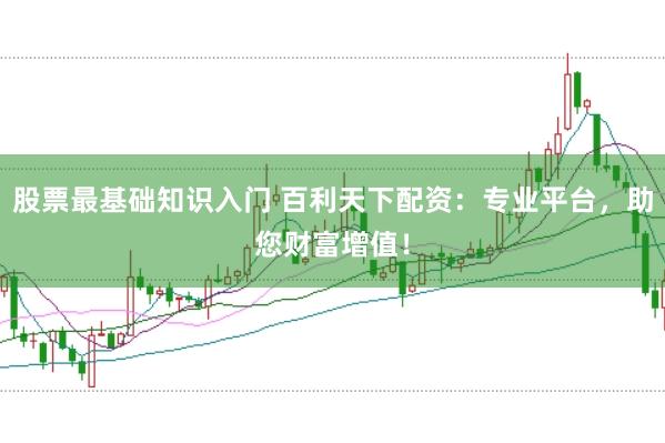 股票最基础知识入门 百利天下配资：专业平台，助您财富增值！