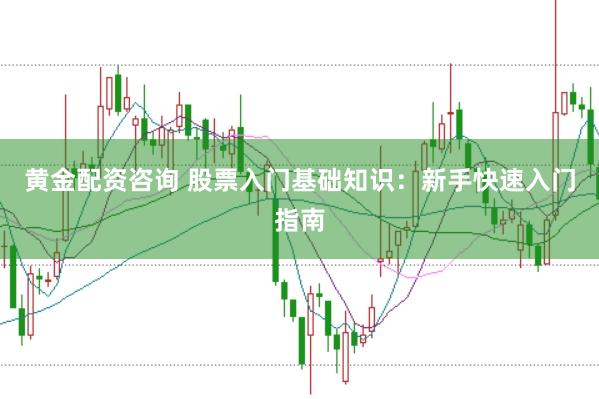 黄金配资咨询 股票入门基础知识：新手快速入门指南